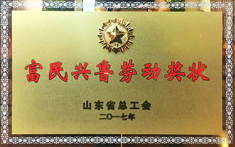 榮譽(yù)資質(zhì)